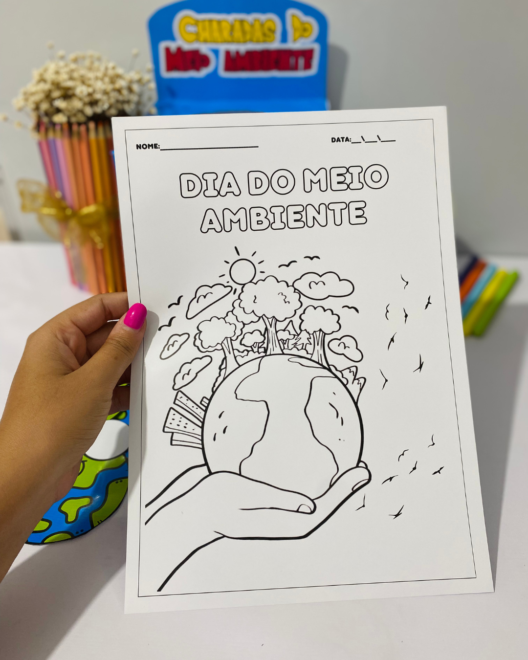 Caixa das Charadas do Meio Ambiente - Imagem 2
