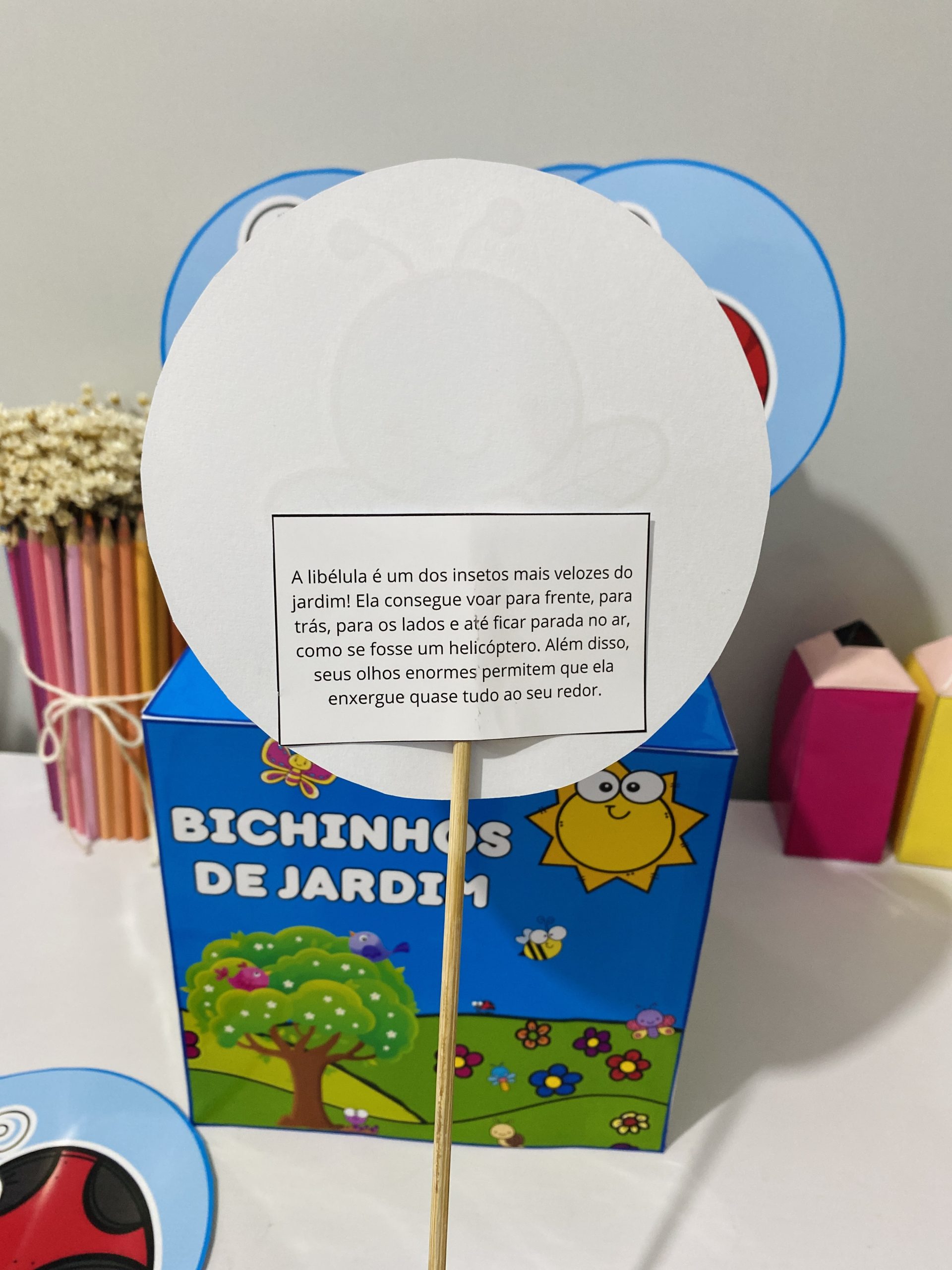 Caixa Bichinhos de Jardim - Imagem 4