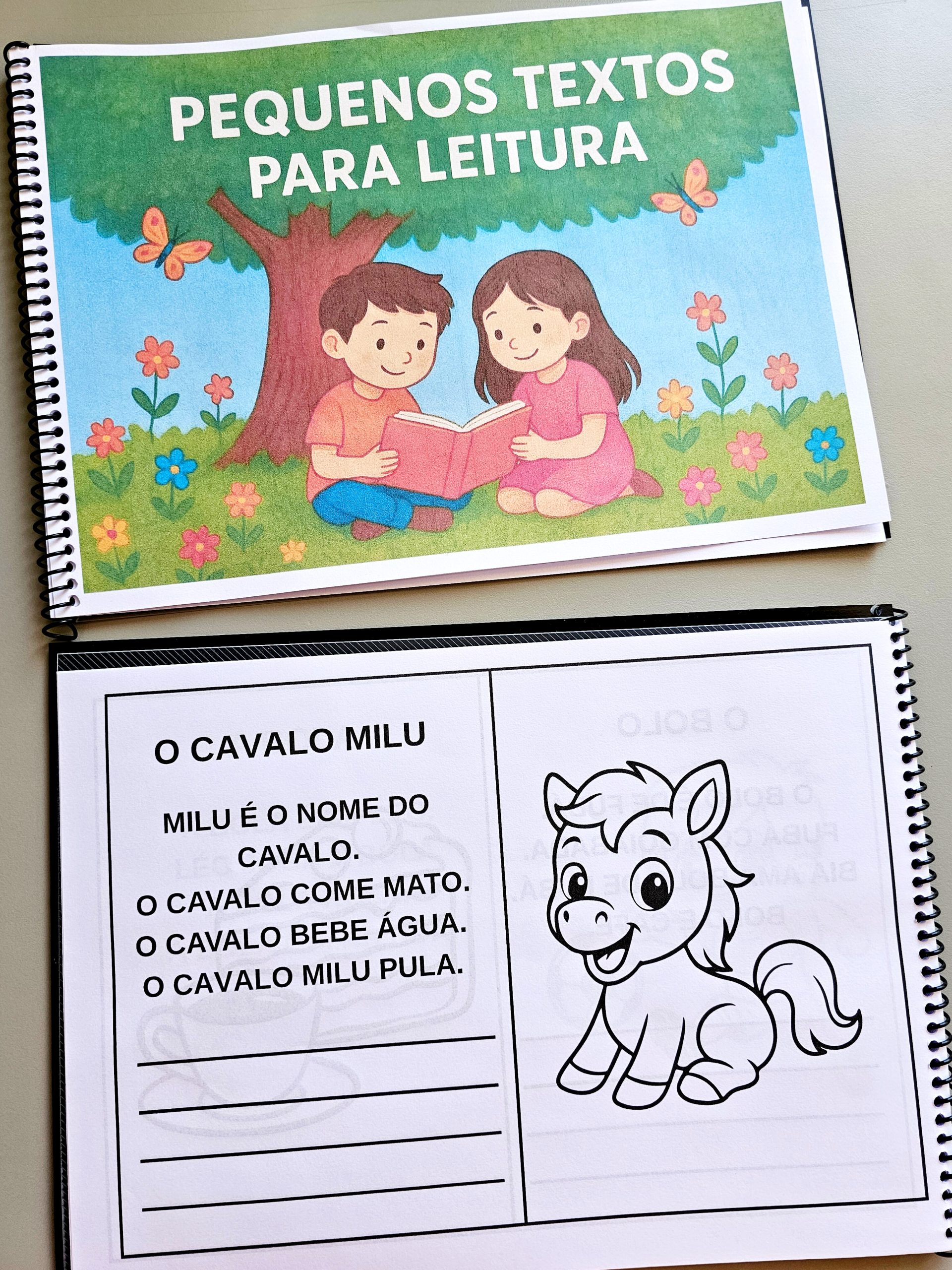 Livrinho de Leitura com Sílabas Simples + livrinho letra cursiva