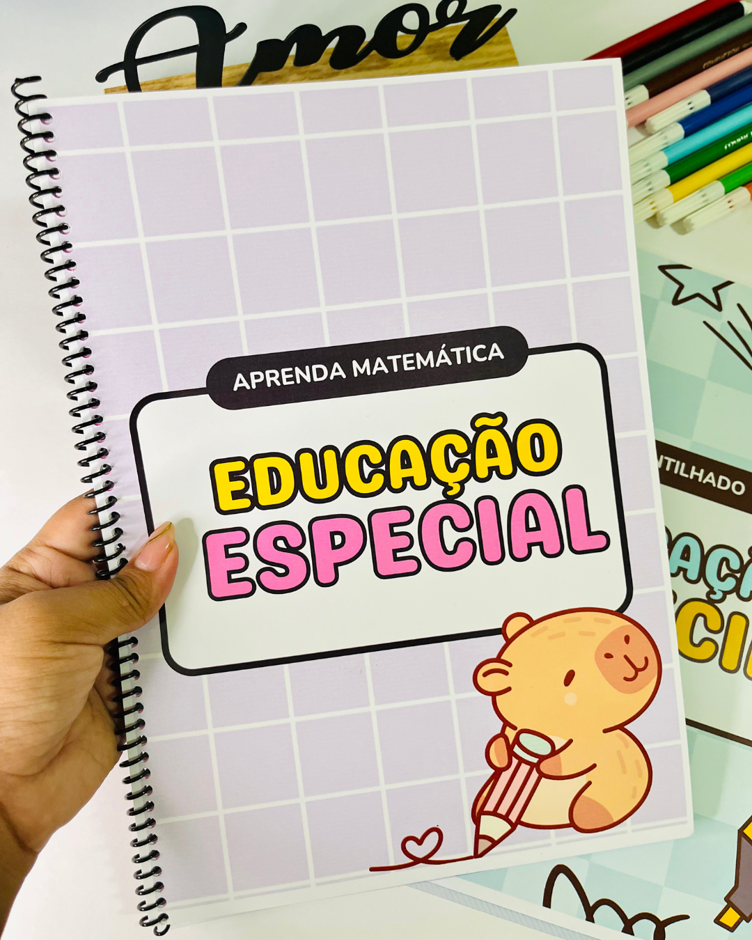 2 APOSTILAS DE EDUCAÇÃO INCLUSIVA: DESENVOLVIMENTO, DIVERSÃO E APRENDIZADO! - Imagem 6