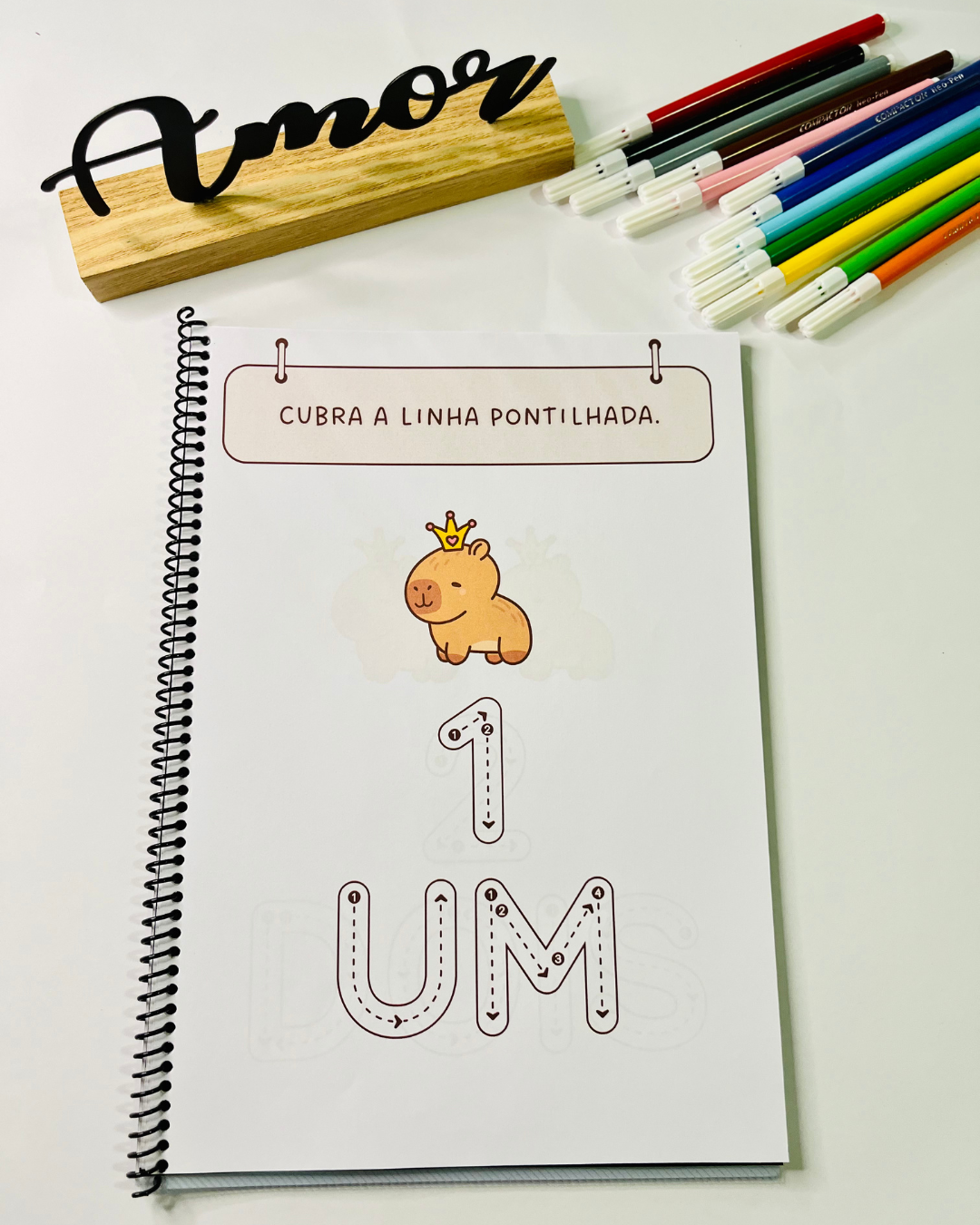 2 APOSTILAS DE EDUCAÇÃO INCLUSIVA: DESENVOLVIMENTO, DIVERSÃO E APRENDIZADO! - Imagem 4