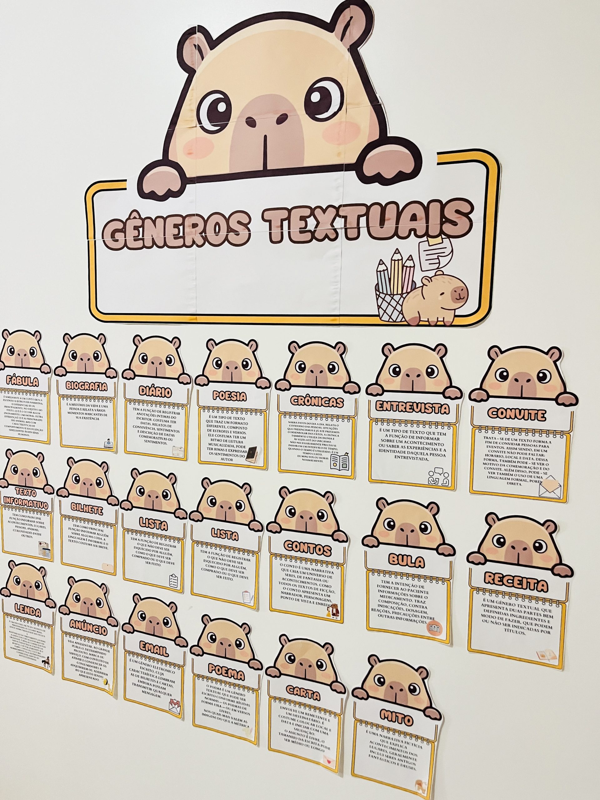 Painel Completo de Gêneros Textuais - Imagem 7
