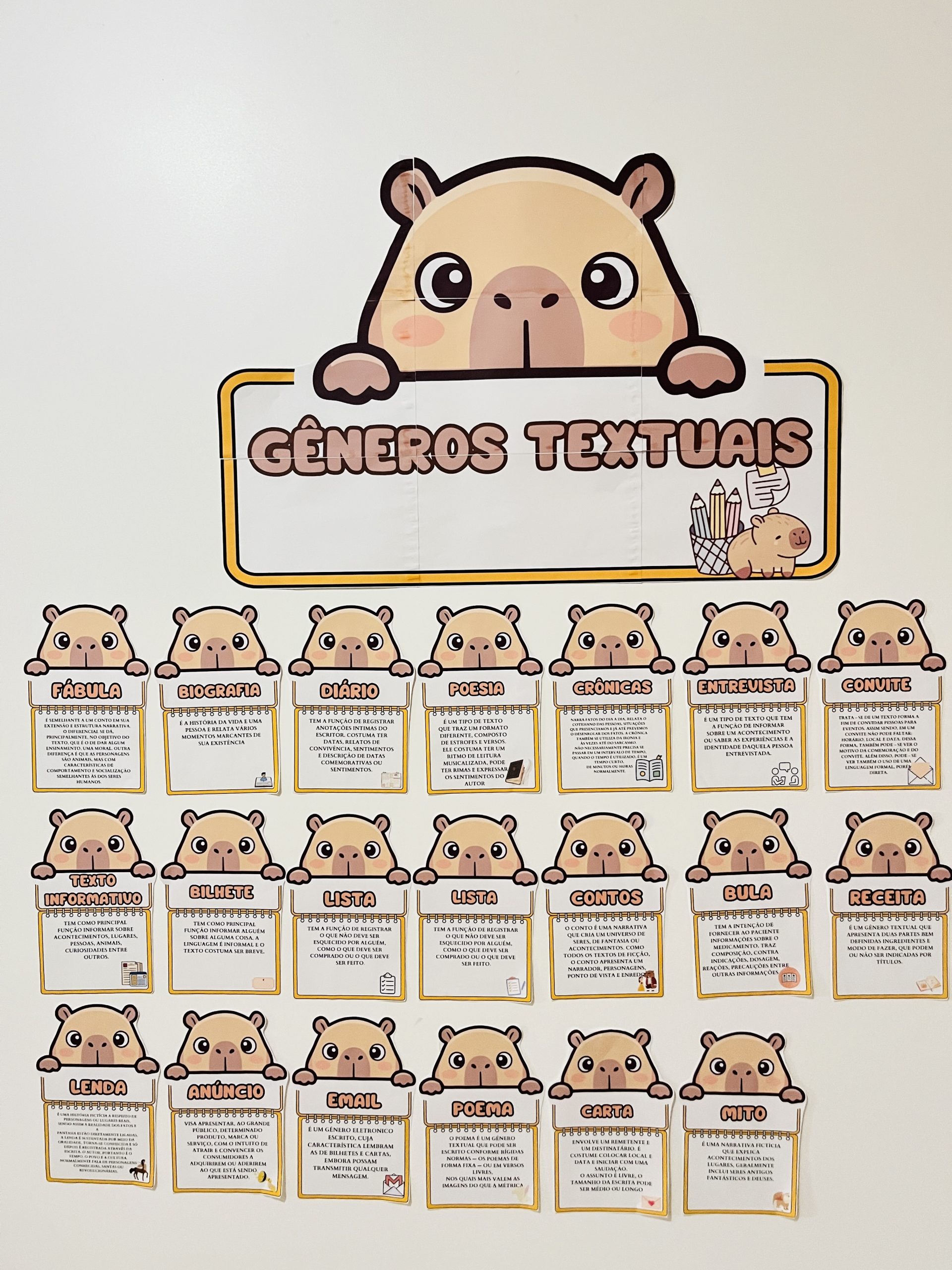 Painel Completo de Gêneros Textuais - Imagem 8