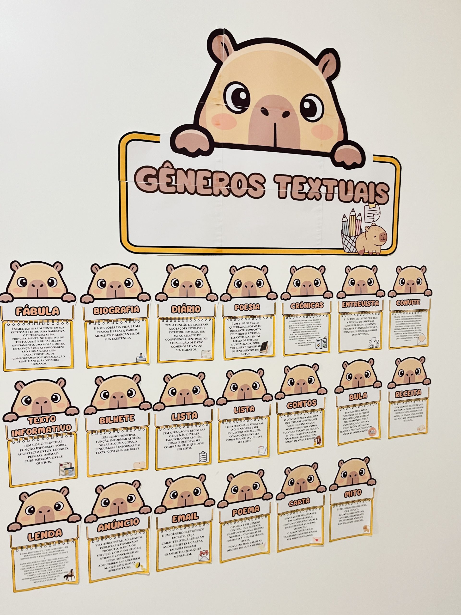Painel Completo de Gêneros Textuais - Imagem 9