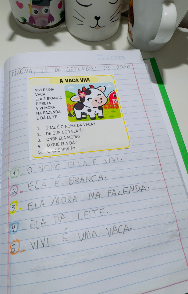 FLASHCARDS DE INTERPRETAÇÃO — 2º ANO - Imagem 13